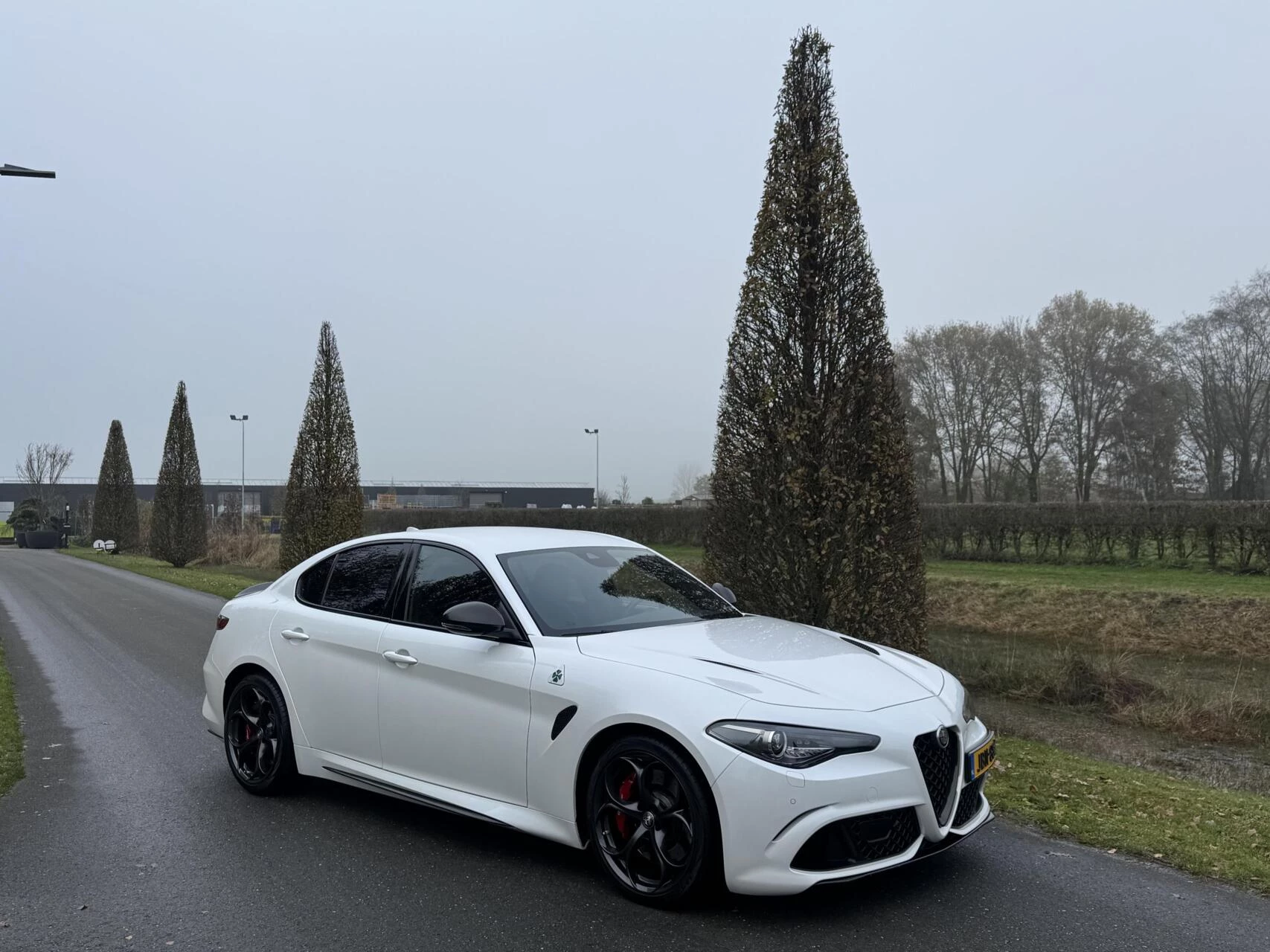 Hoofdafbeelding Alfa Romeo Giulia