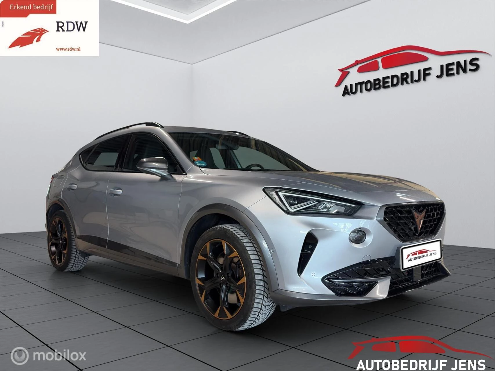 Hoofdafbeelding CUPRA Formentor