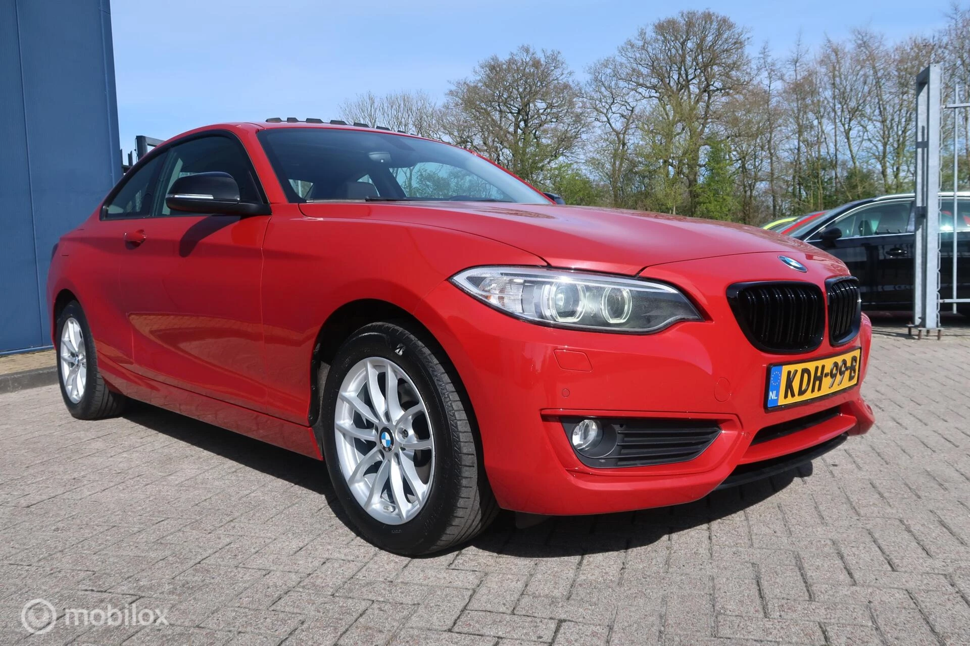 Hoofdafbeelding BMW 2 Serie