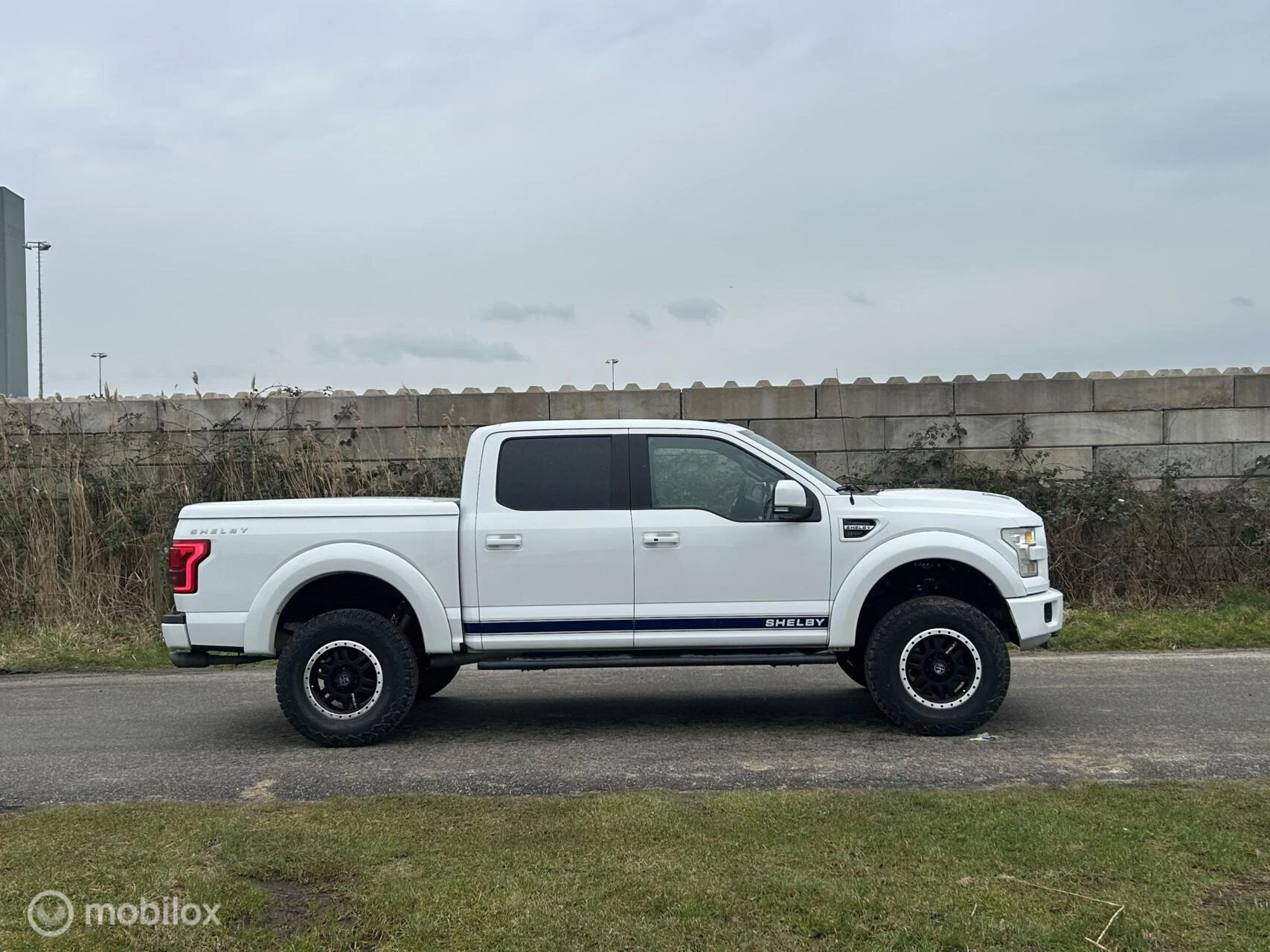 Hoofdafbeelding Ford F-150