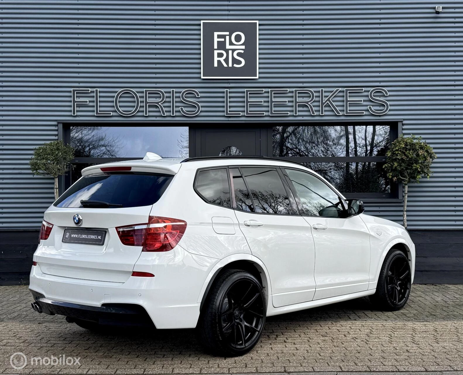 Hoofdafbeelding BMW X3