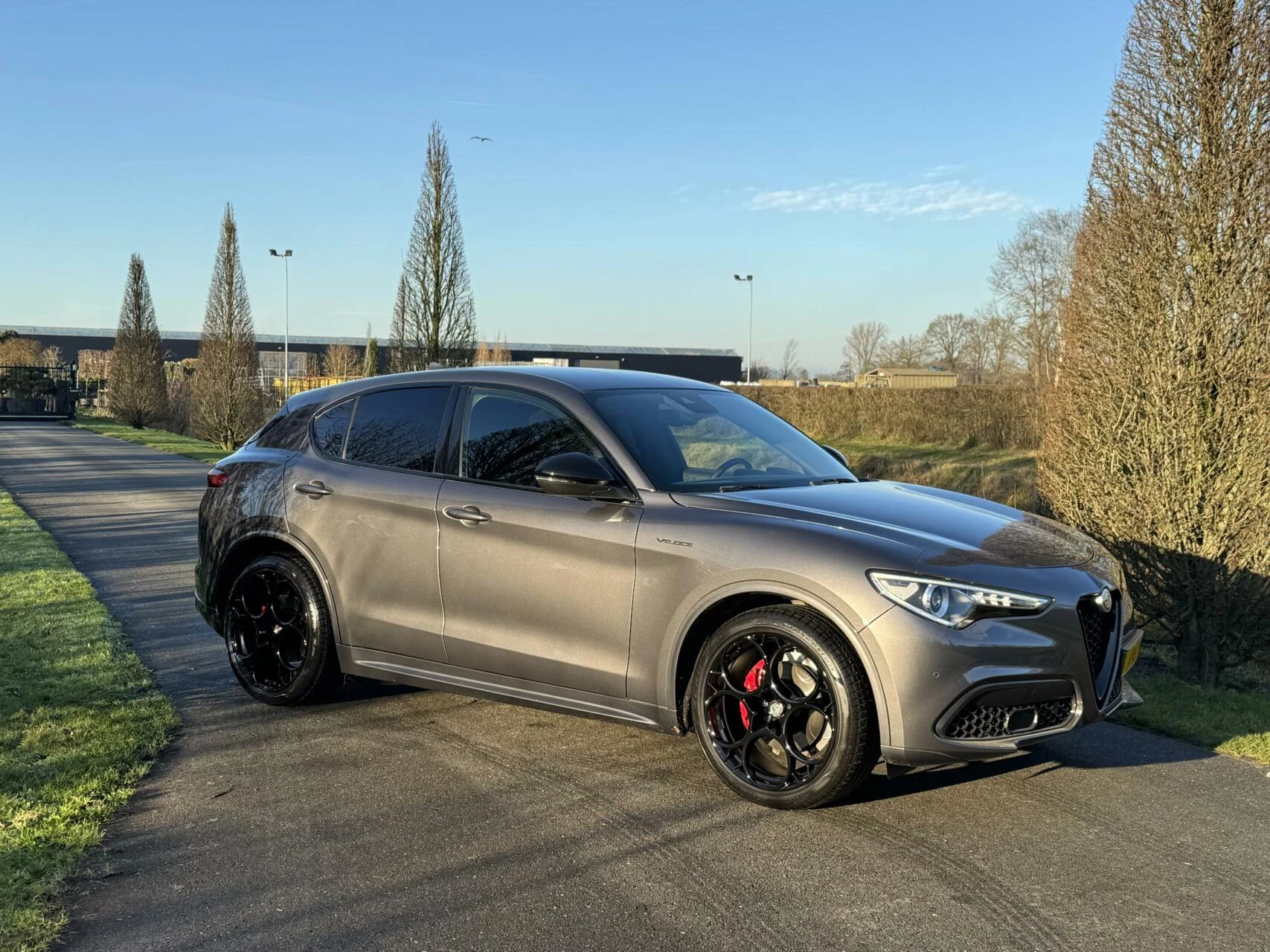 Hoofdafbeelding Alfa Romeo Stelvio