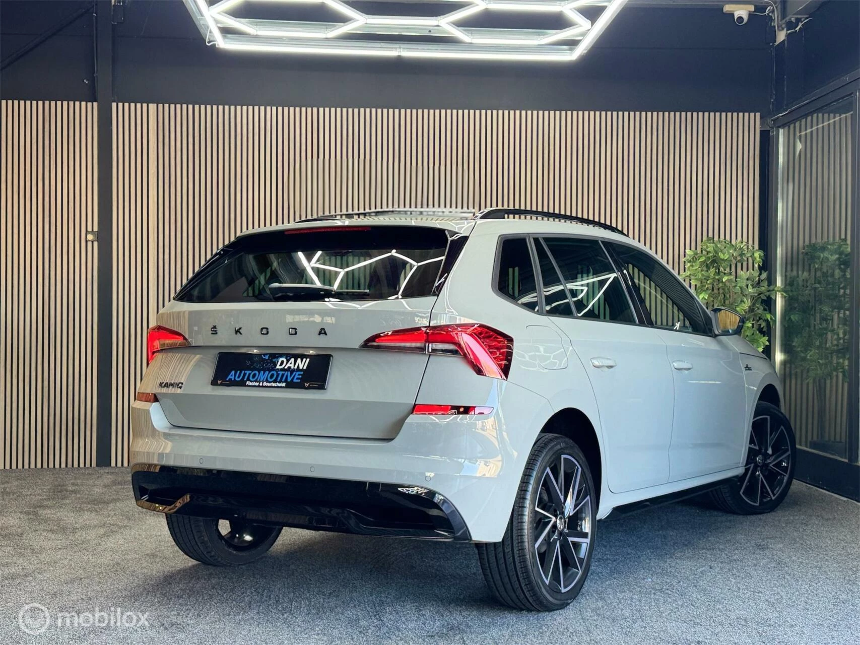 Hoofdafbeelding Škoda Kamiq