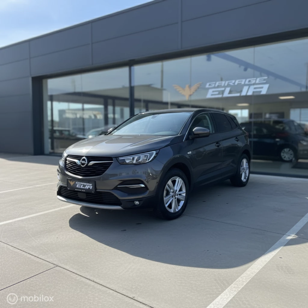Hoofdafbeelding Opel Grandland X