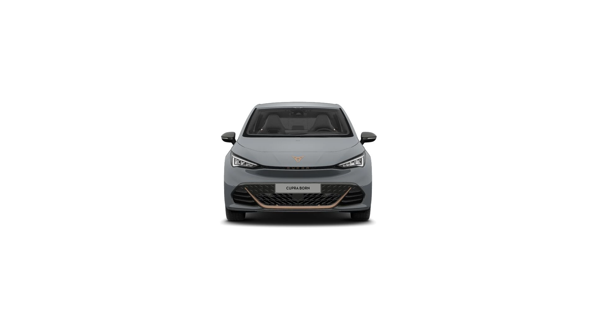 Hoofdafbeelding CUPRA Born