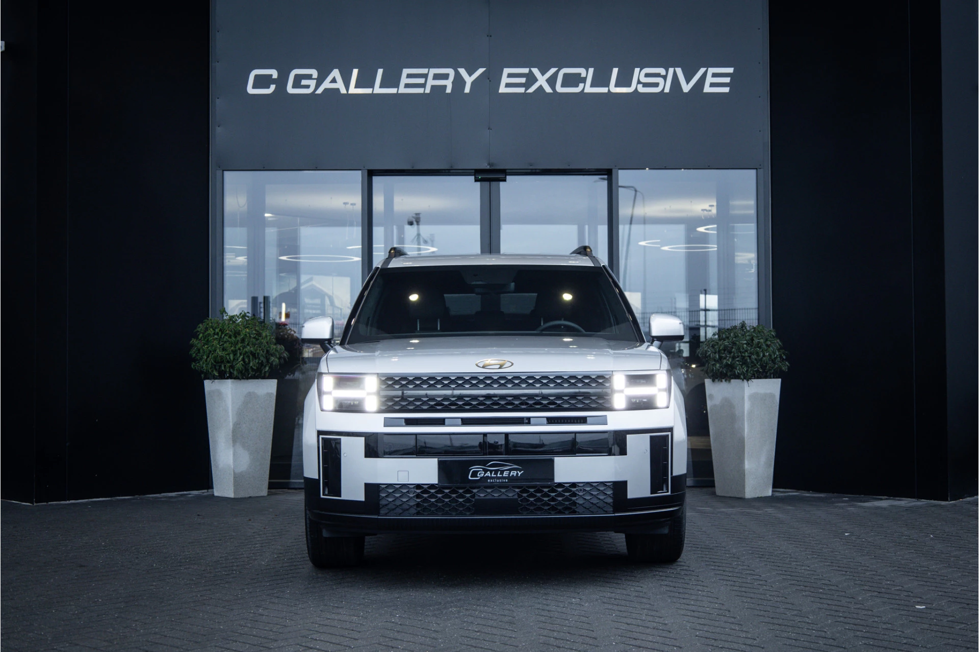 Hoofdafbeelding Hyundai Santa Fe