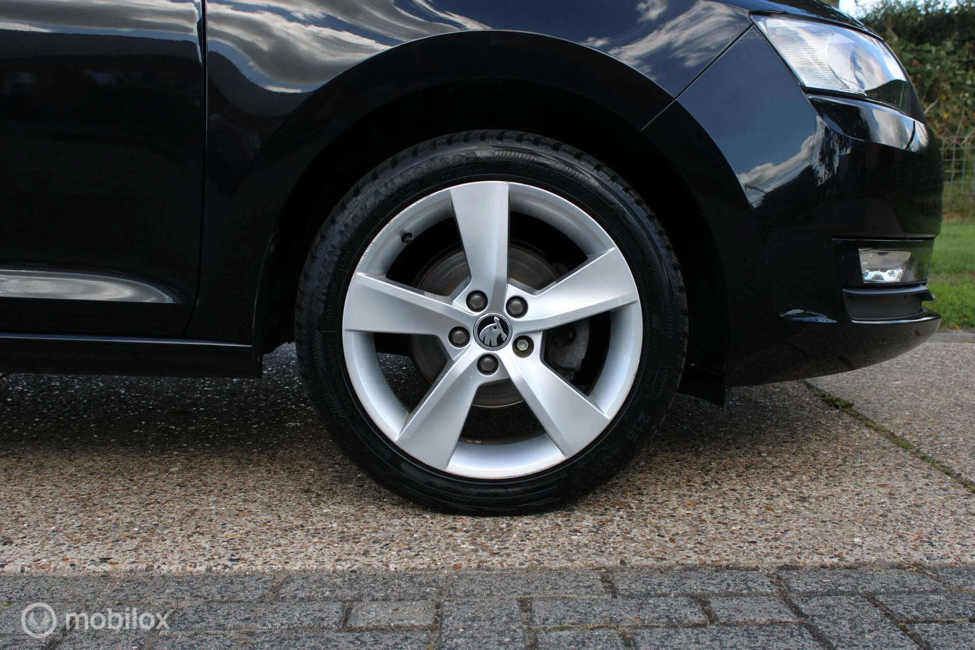 Hoofdafbeelding Škoda Rapid