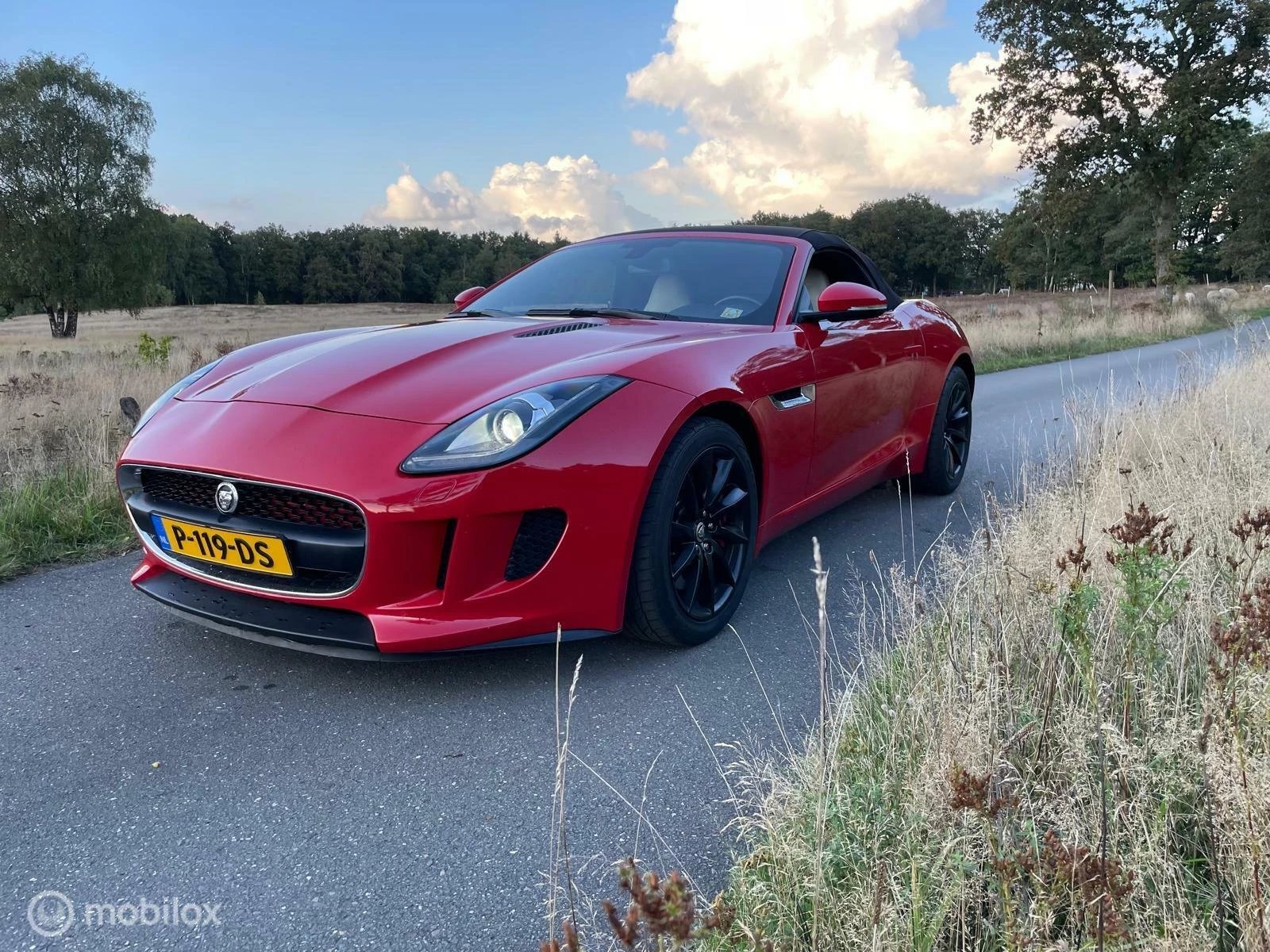 Hoofdafbeelding Jaguar F-Type