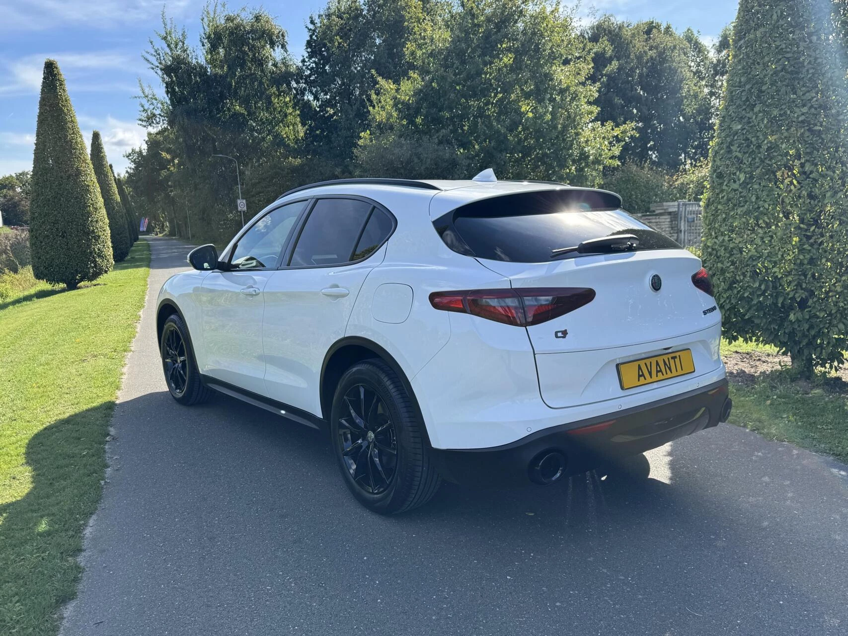 Hoofdafbeelding Alfa Romeo Stelvio