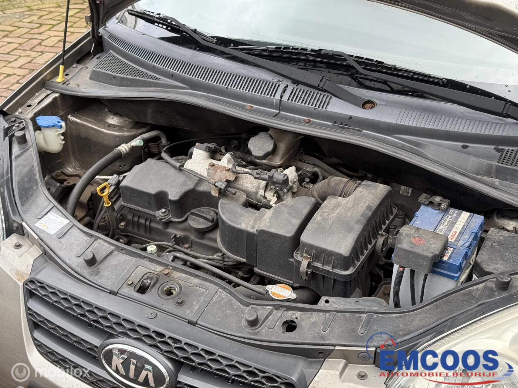 Hoofdafbeelding Kia Picanto