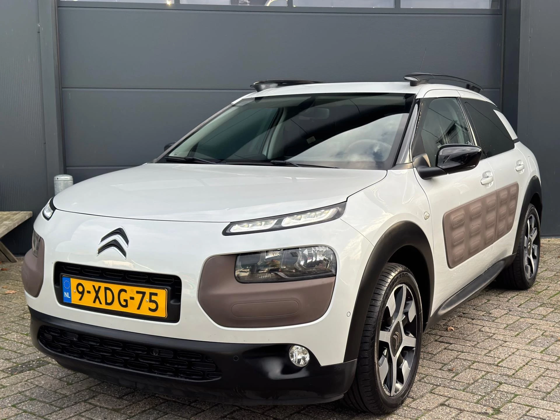 Hoofdafbeelding Citroën C4 Cactus