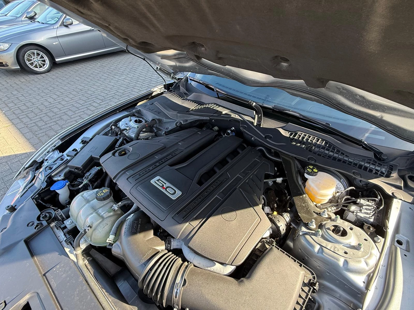 Hoofdafbeelding Ford Mustang