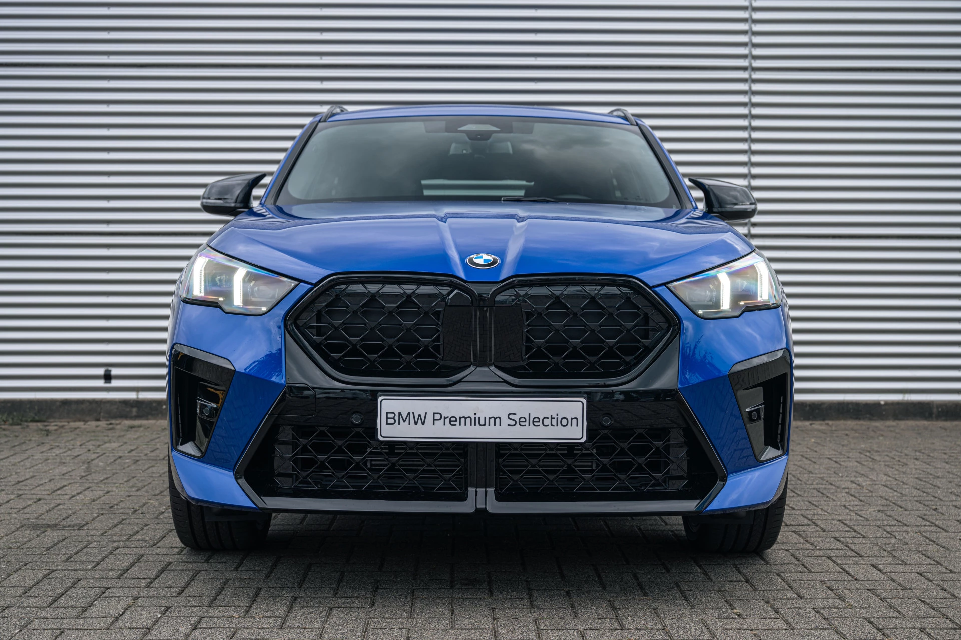 Hoofdafbeelding BMW X2