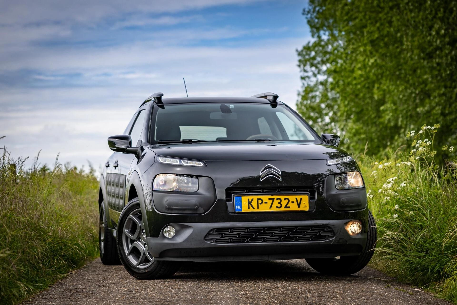 Hoofdafbeelding Citroën C4 Cactus