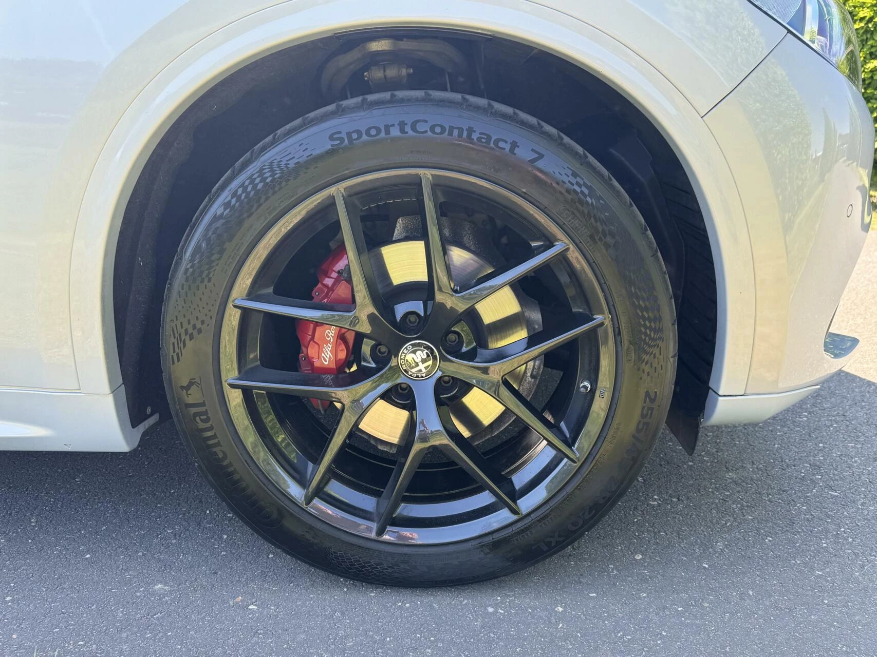 Hoofdafbeelding Alfa Romeo Stelvio