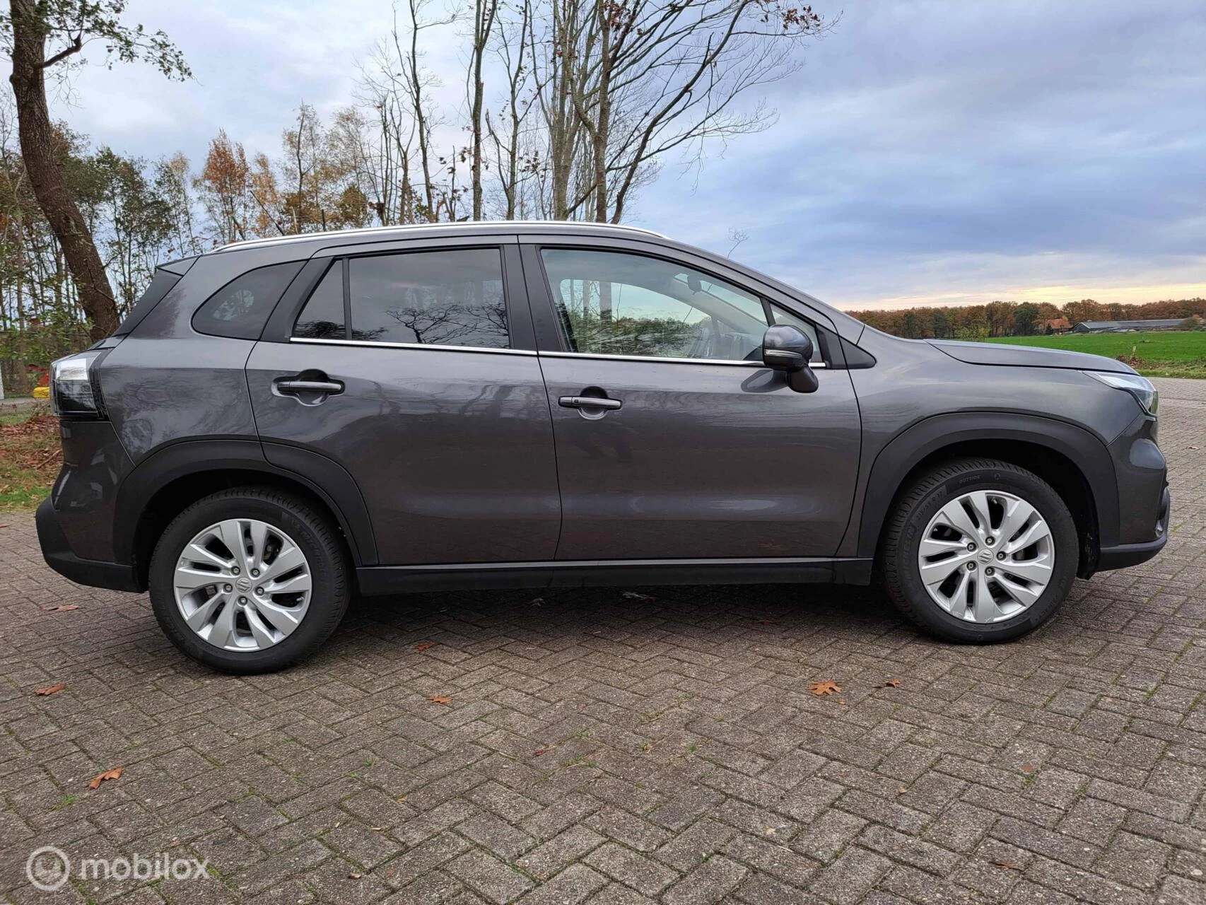 Hoofdafbeelding Suzuki S-Cross