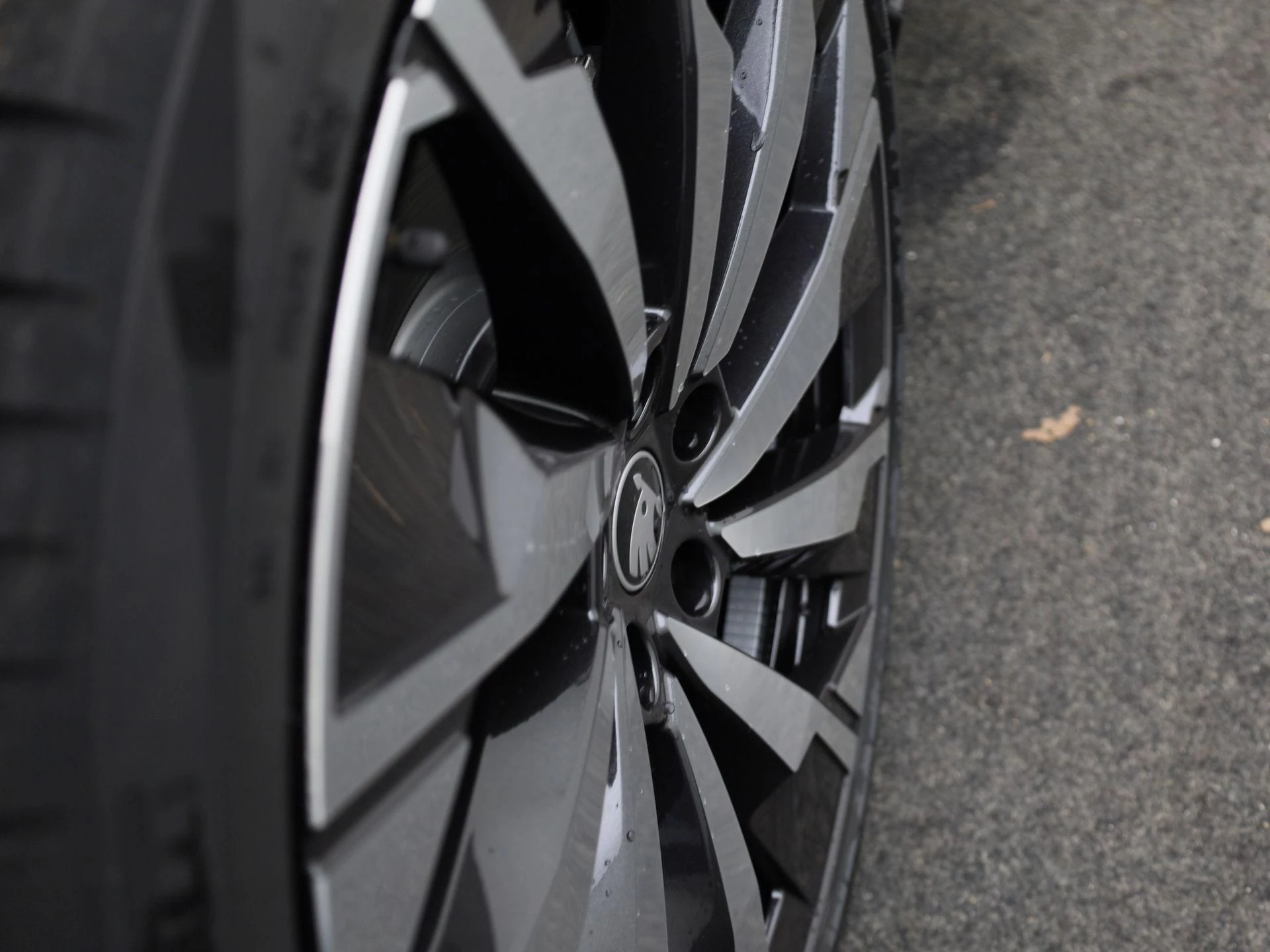 Hoofdafbeelding Škoda Enyaq iV