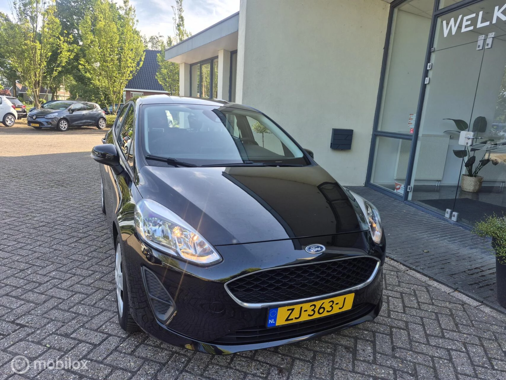 Hoofdafbeelding Ford Fiesta