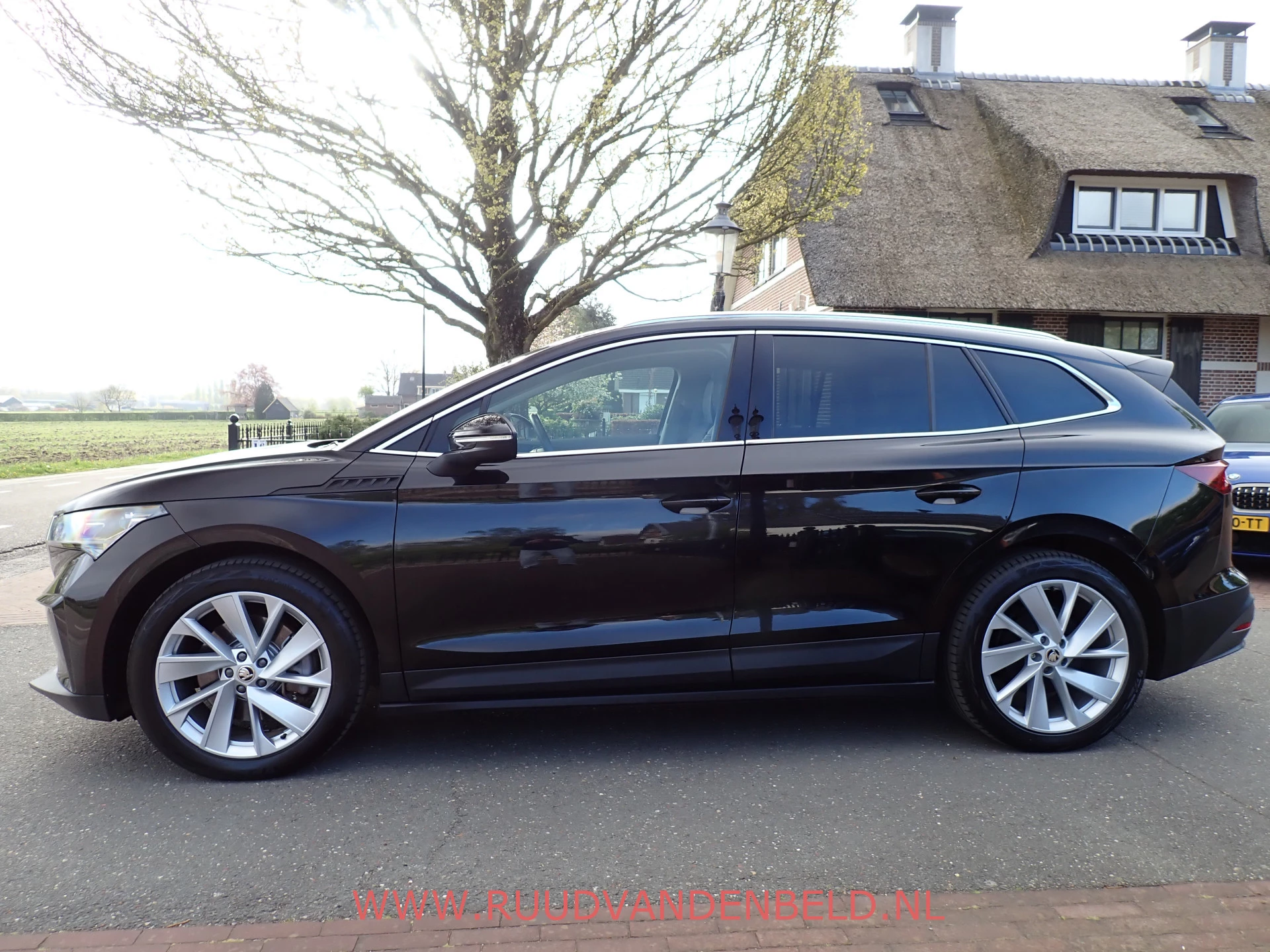 Hoofdafbeelding Škoda Enyaq iV