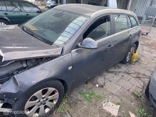 Hoofdafbeelding Opel Insignia