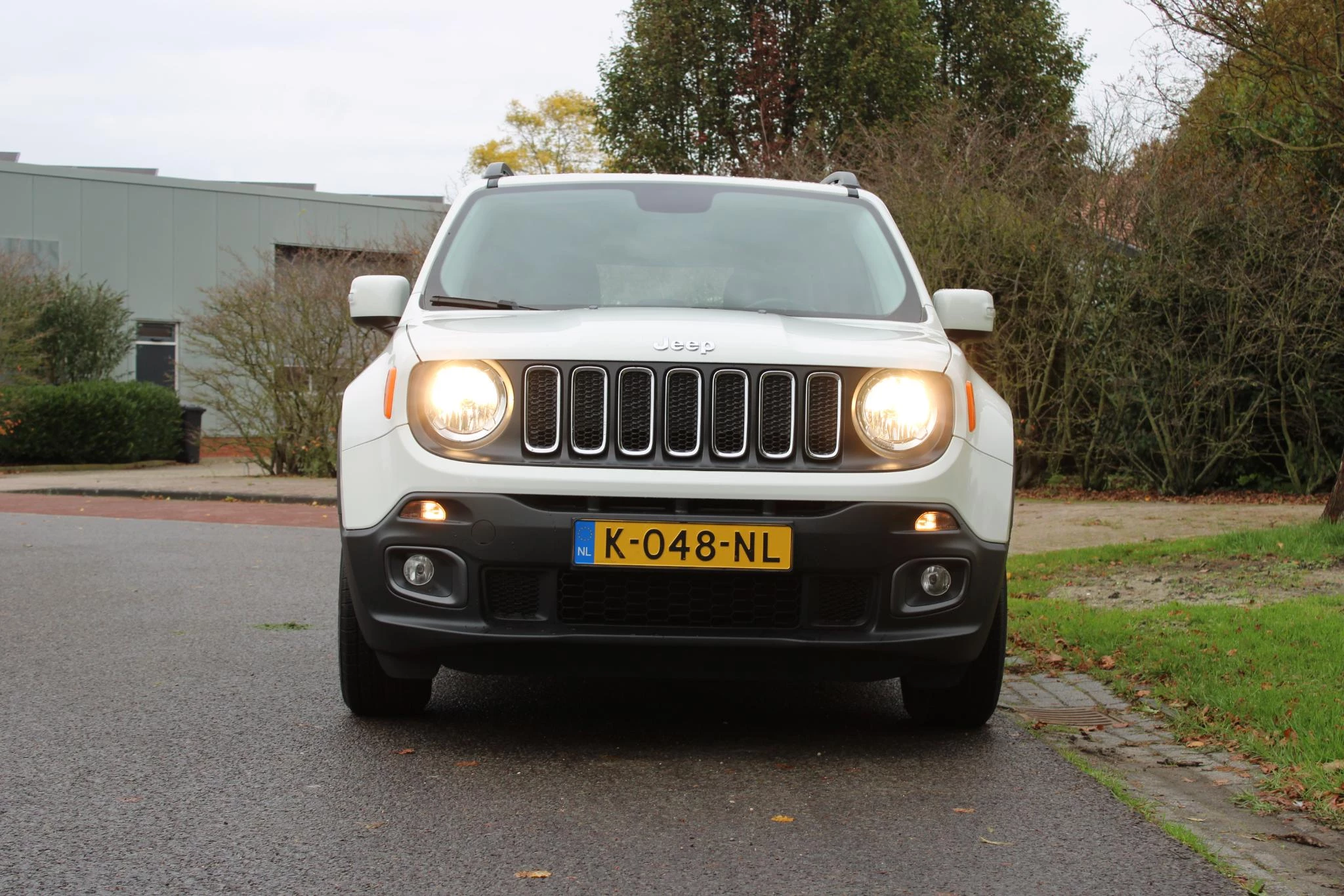 Hoofdafbeelding Jeep Renegade