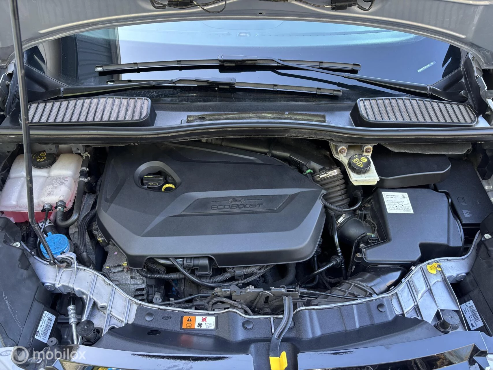 Hoofdafbeelding Ford C-MAX