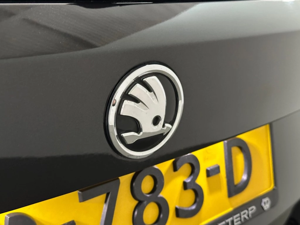 Hoofdafbeelding Škoda Fabia