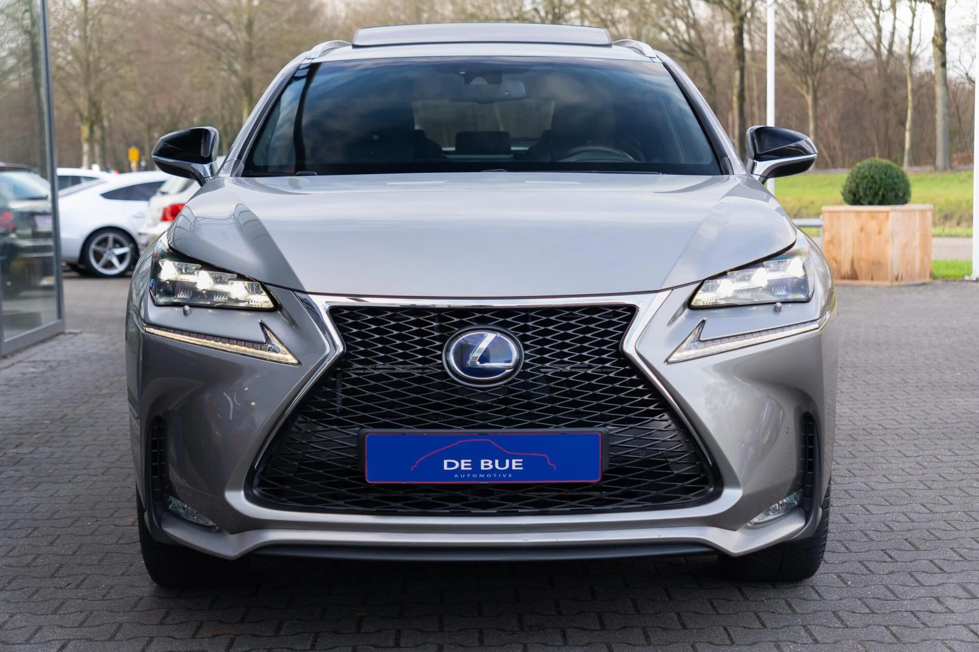 Hoofdafbeelding Lexus NX