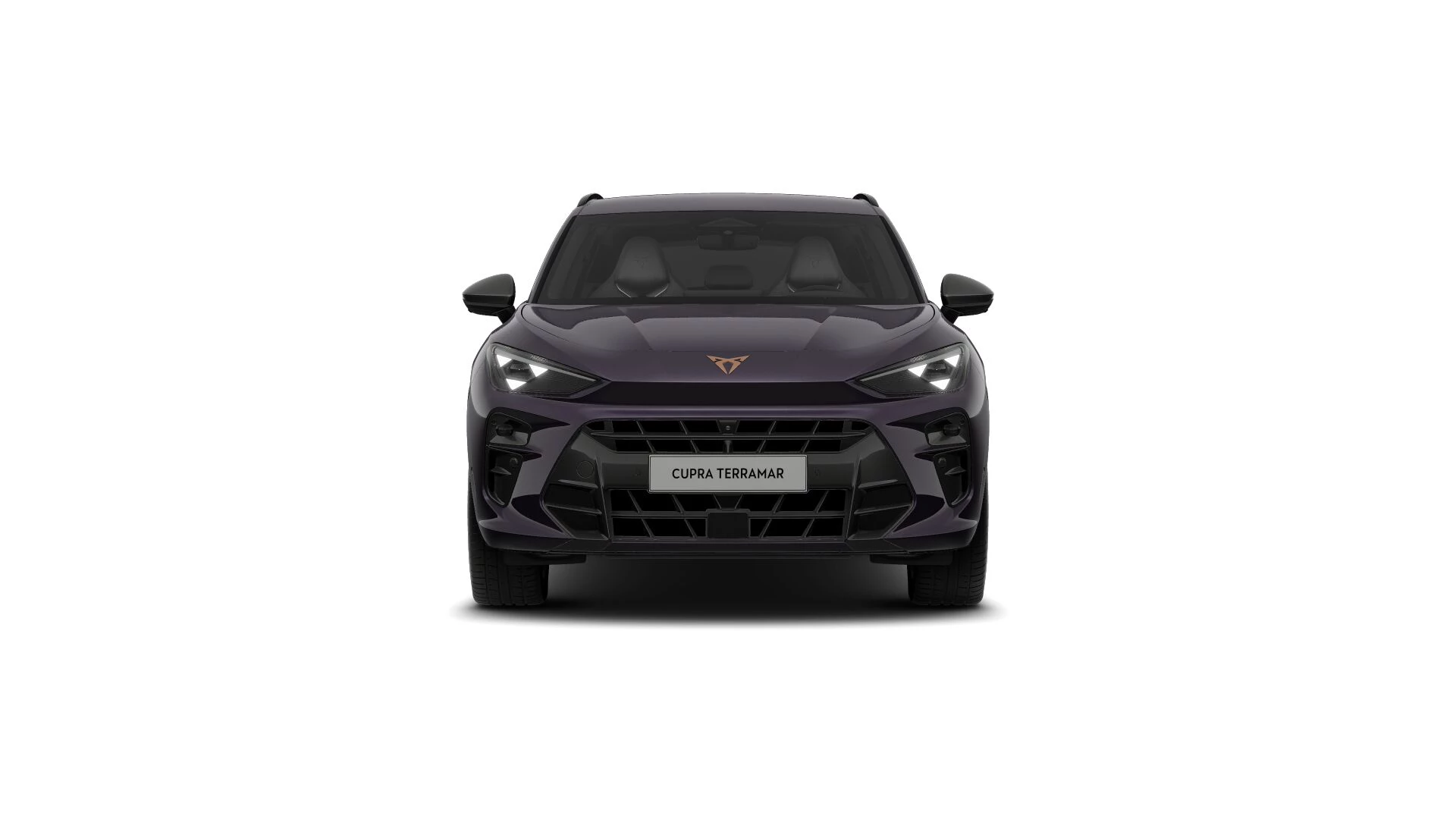 Hoofdafbeelding CUPRA Terramar