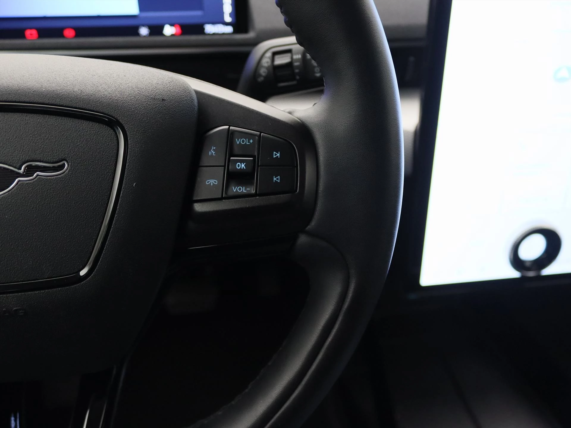 Hoofdafbeelding Ford Mustang Mach-E