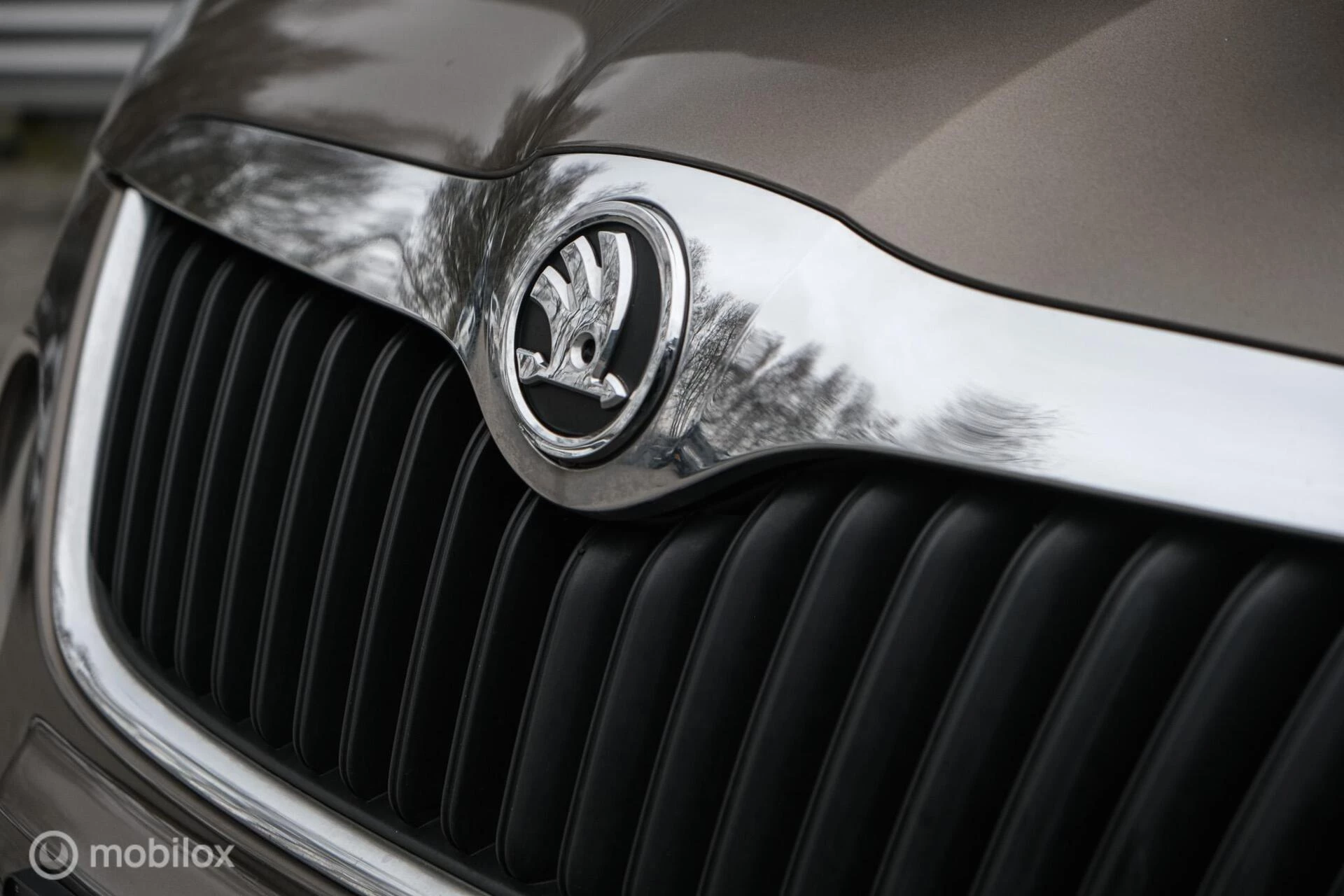 Hoofdafbeelding Škoda Yeti