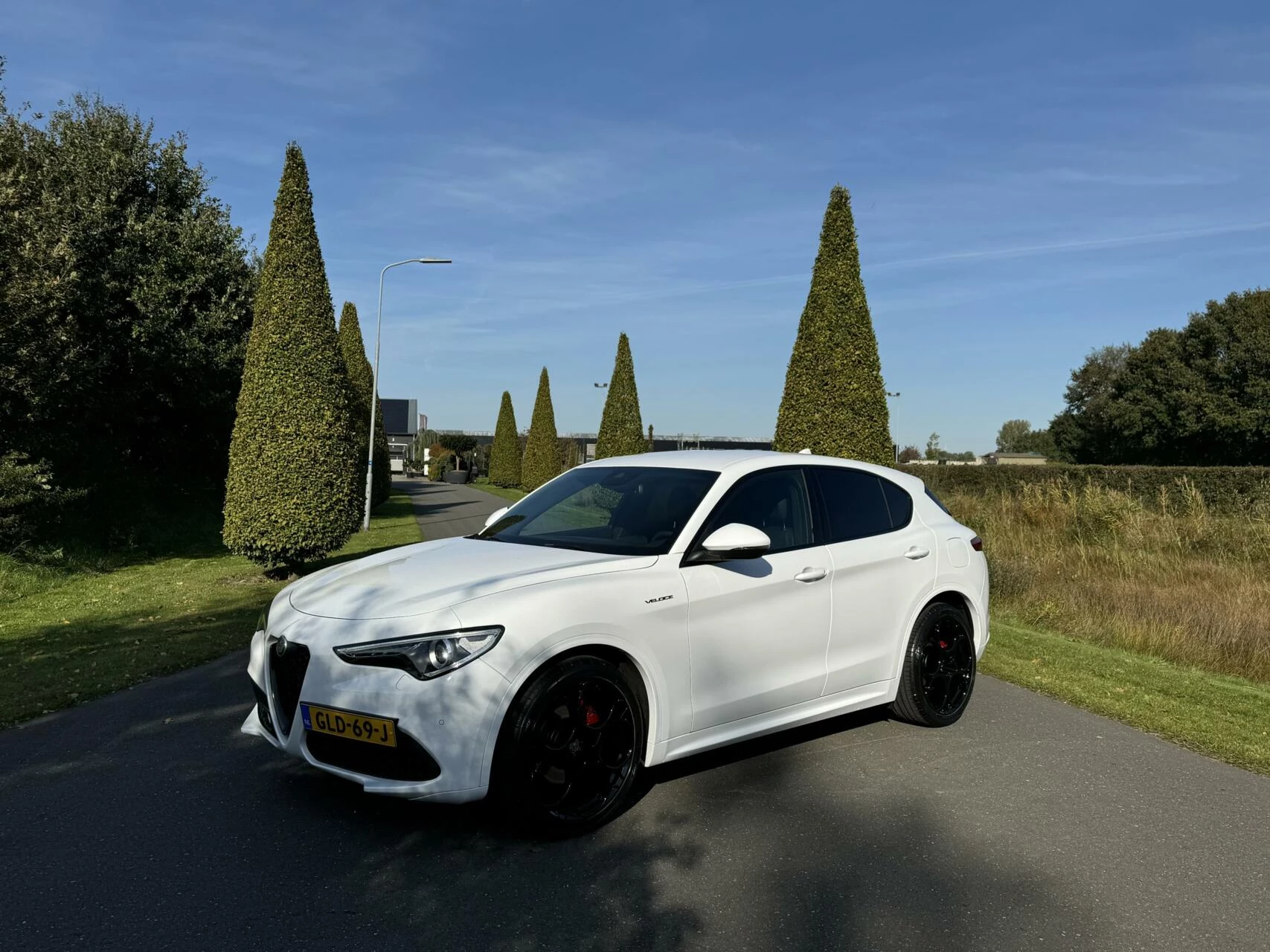 Hoofdafbeelding Alfa Romeo Stelvio