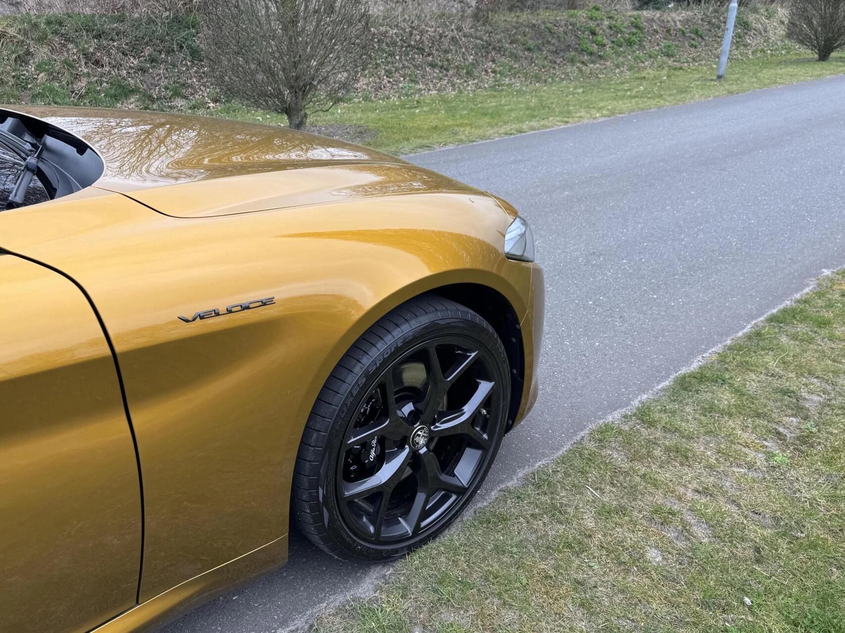 Hoofdafbeelding Alfa Romeo Giulia