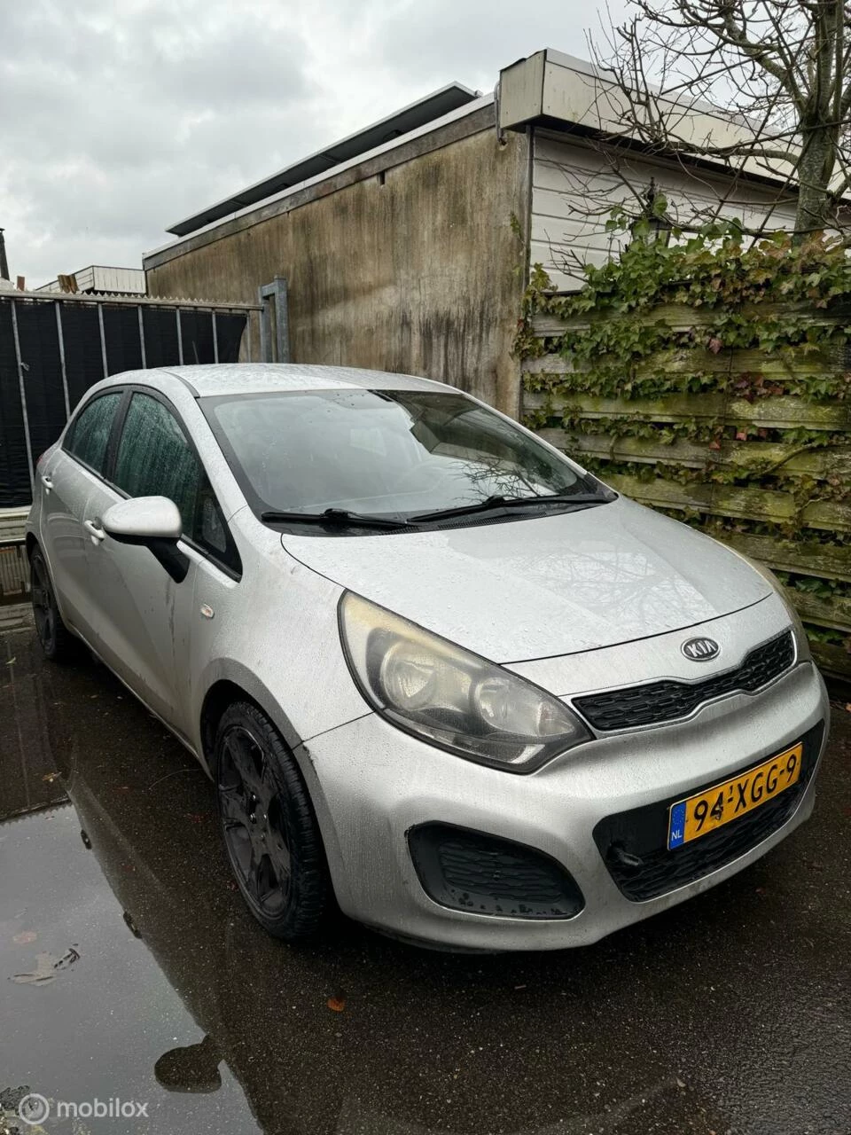 Hoofdafbeelding Kia Rio