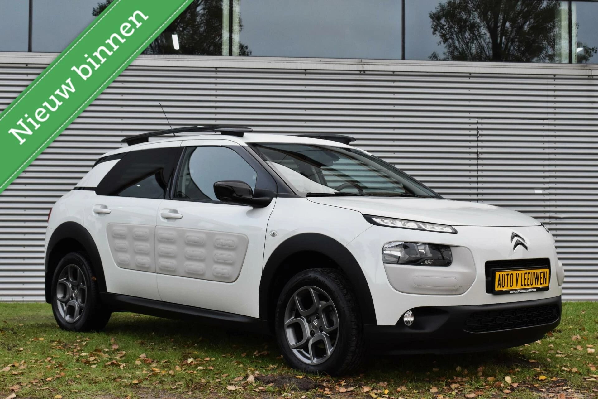 Hoofdafbeelding Citroën C4 Cactus