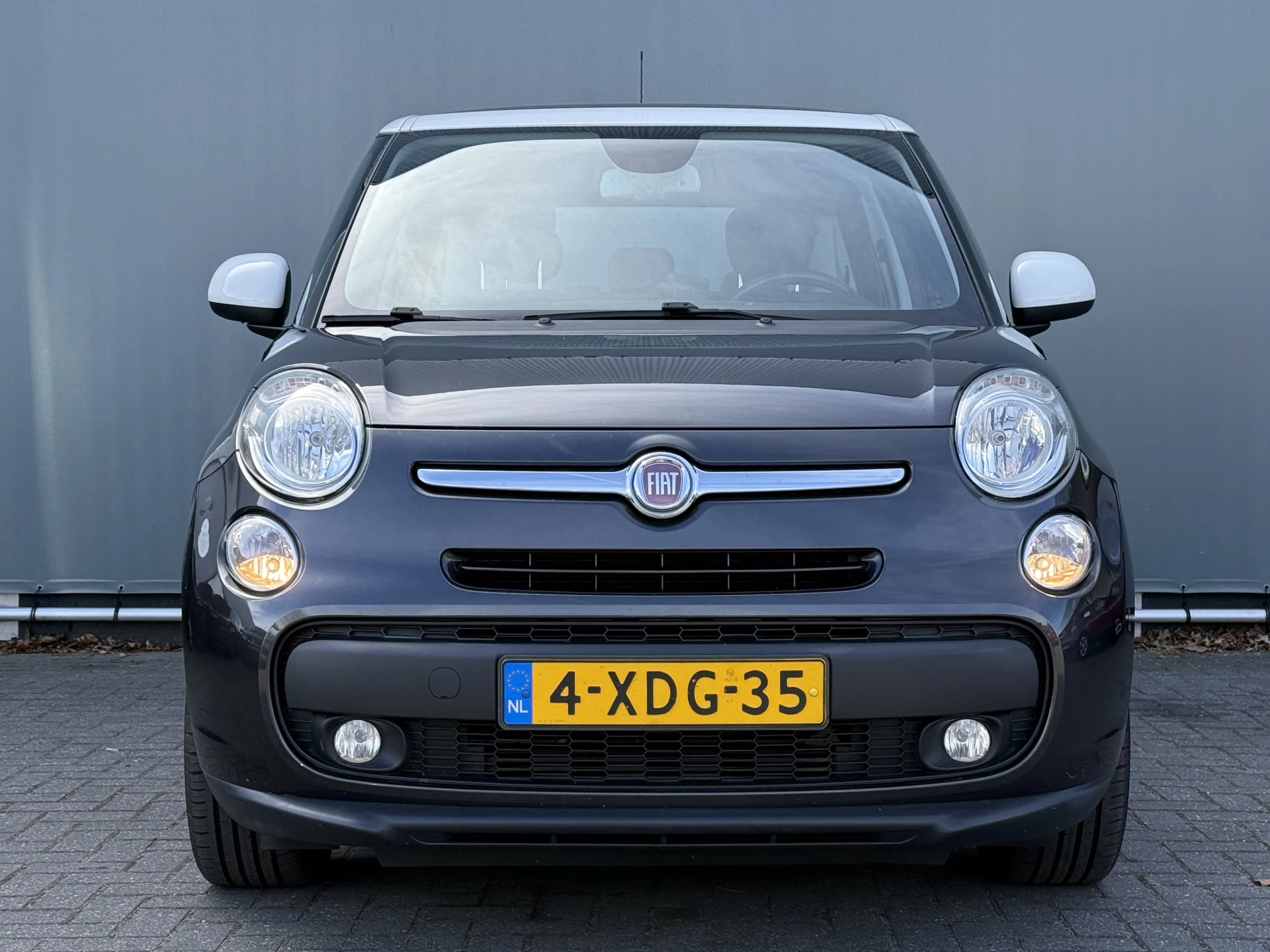 Hoofdafbeelding Fiat 500L