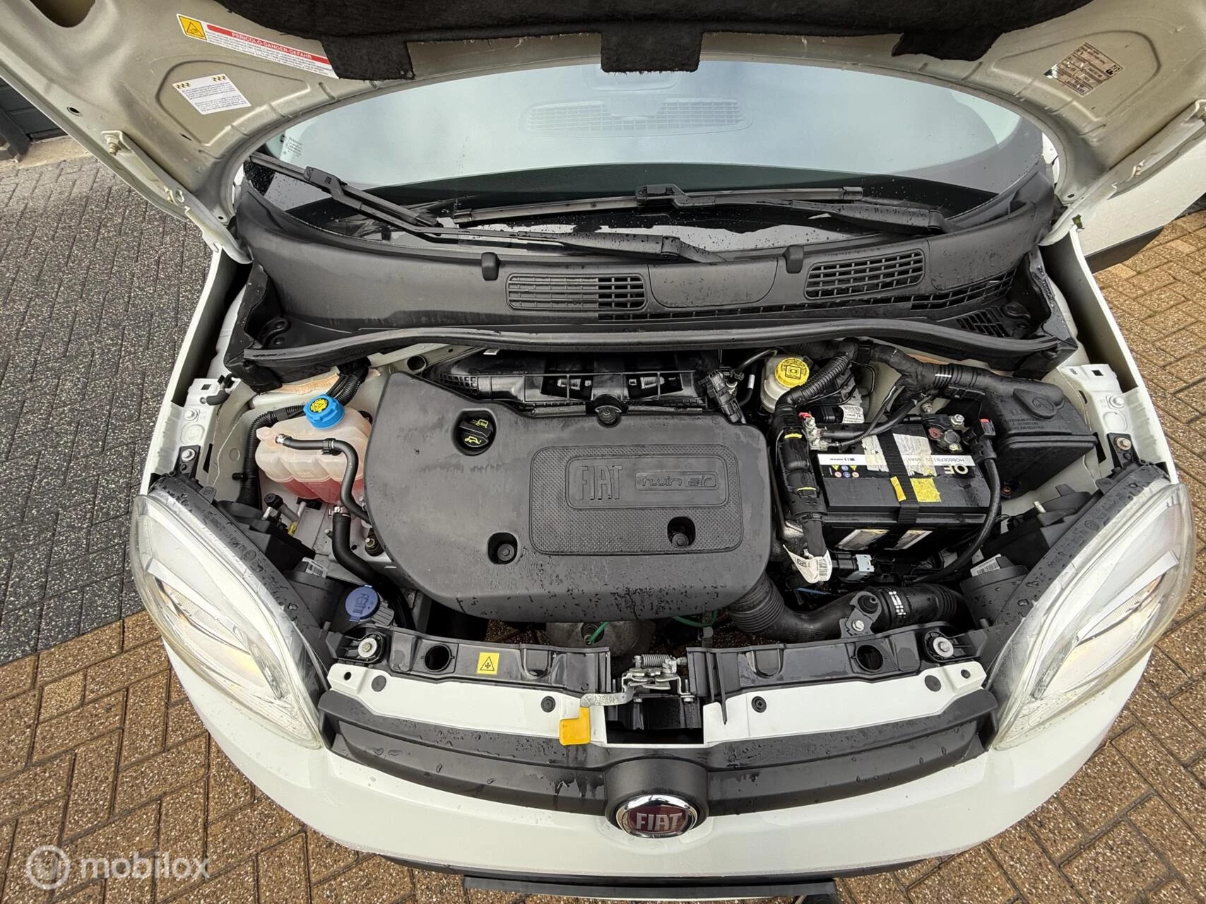 Hoofdafbeelding Fiat Panda