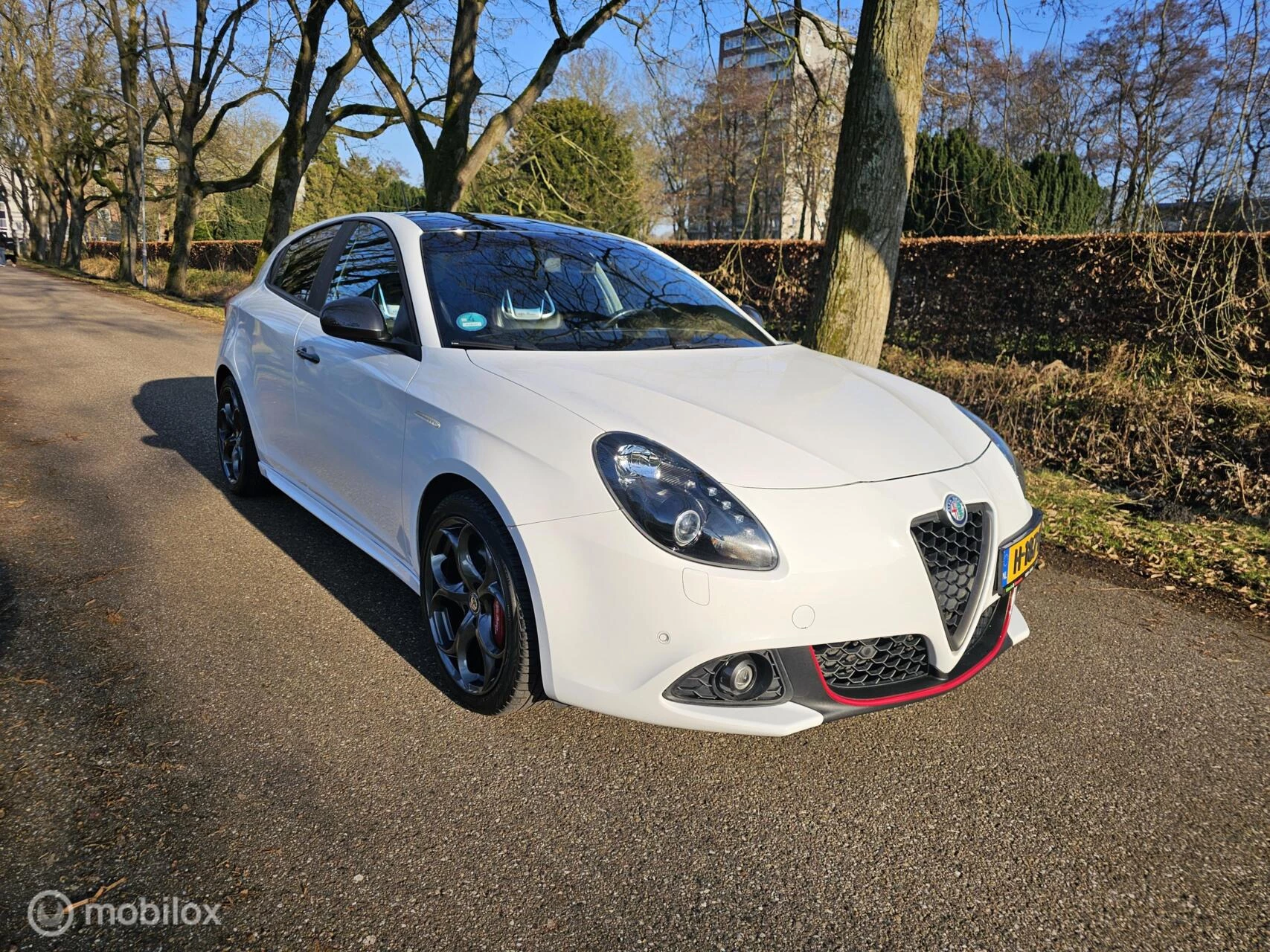 Hoofdafbeelding Alfa Romeo Giulietta