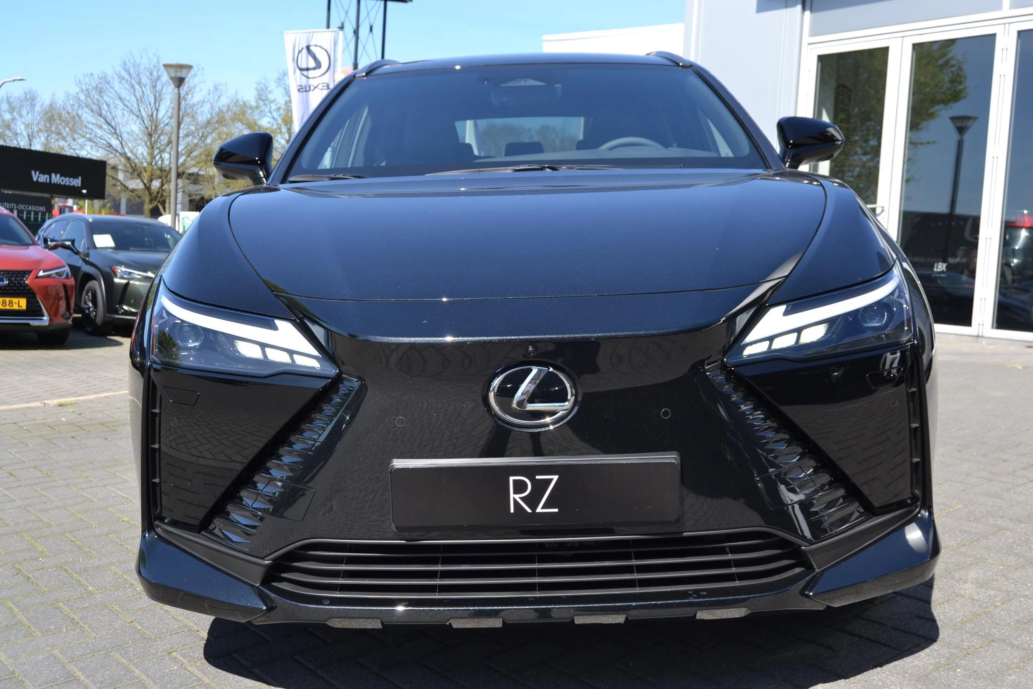 Hoofdafbeelding Lexus RZ