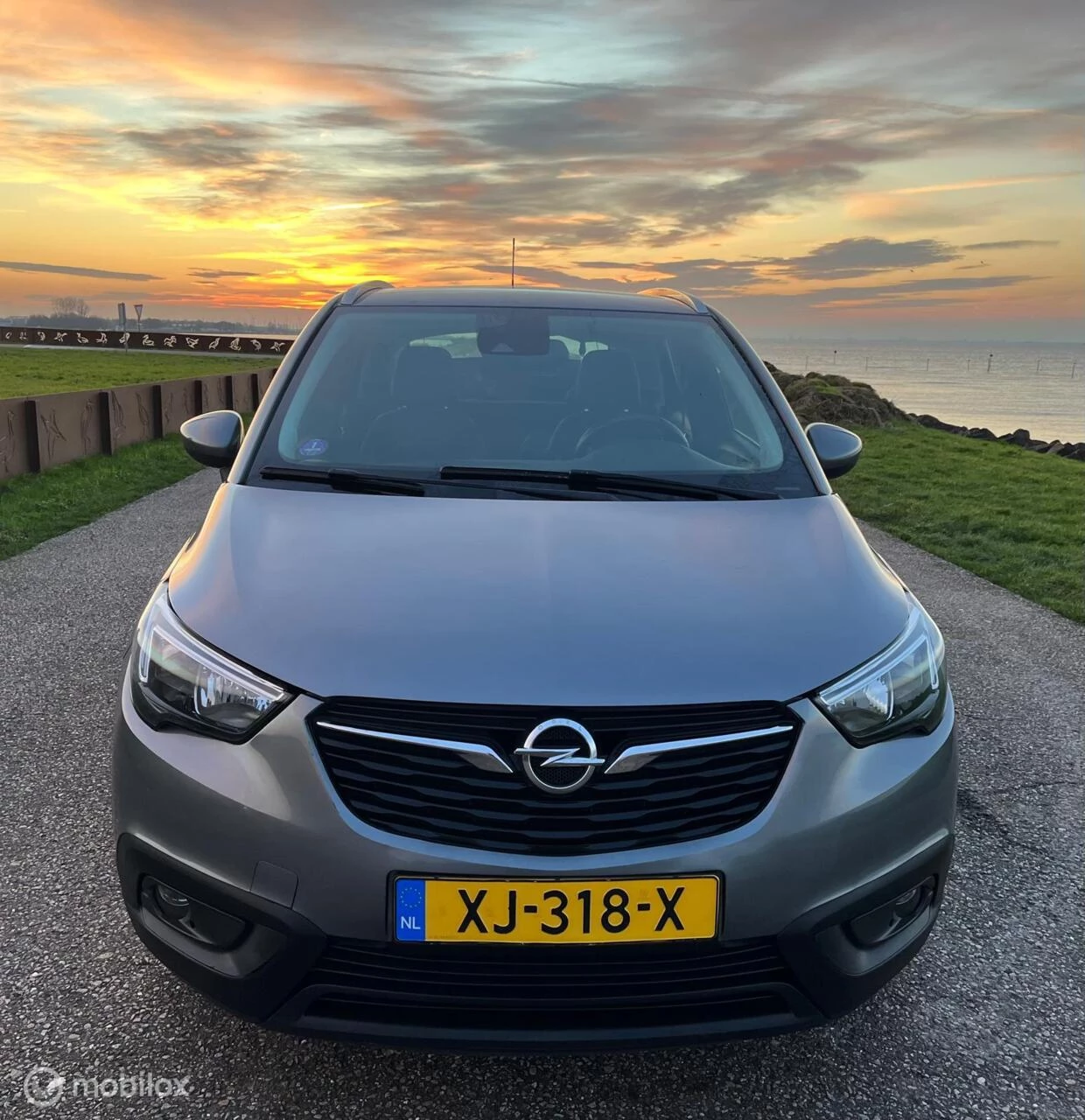 Hoofdafbeelding Opel Crossland X