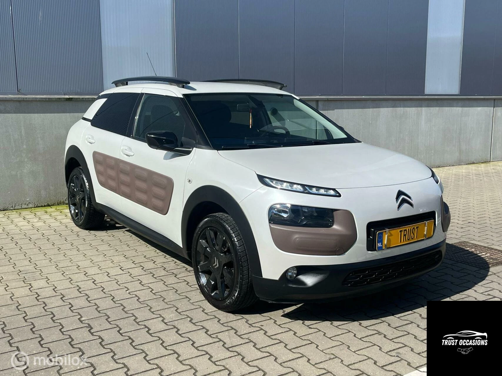 Hoofdafbeelding Citroën C4 Cactus