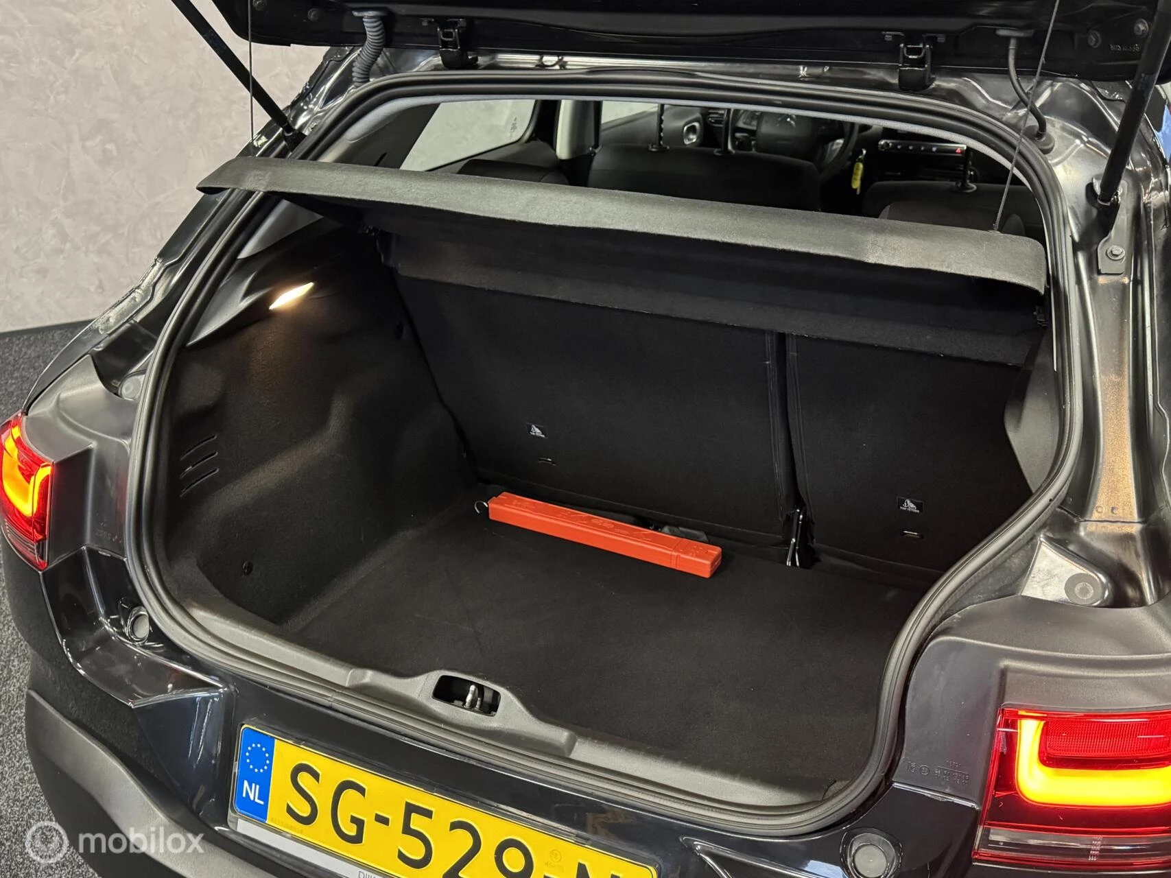 Hoofdafbeelding Citroën C4 Cactus