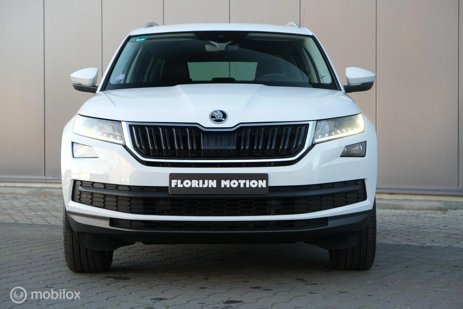 Hoofdafbeelding Škoda Kodiaq