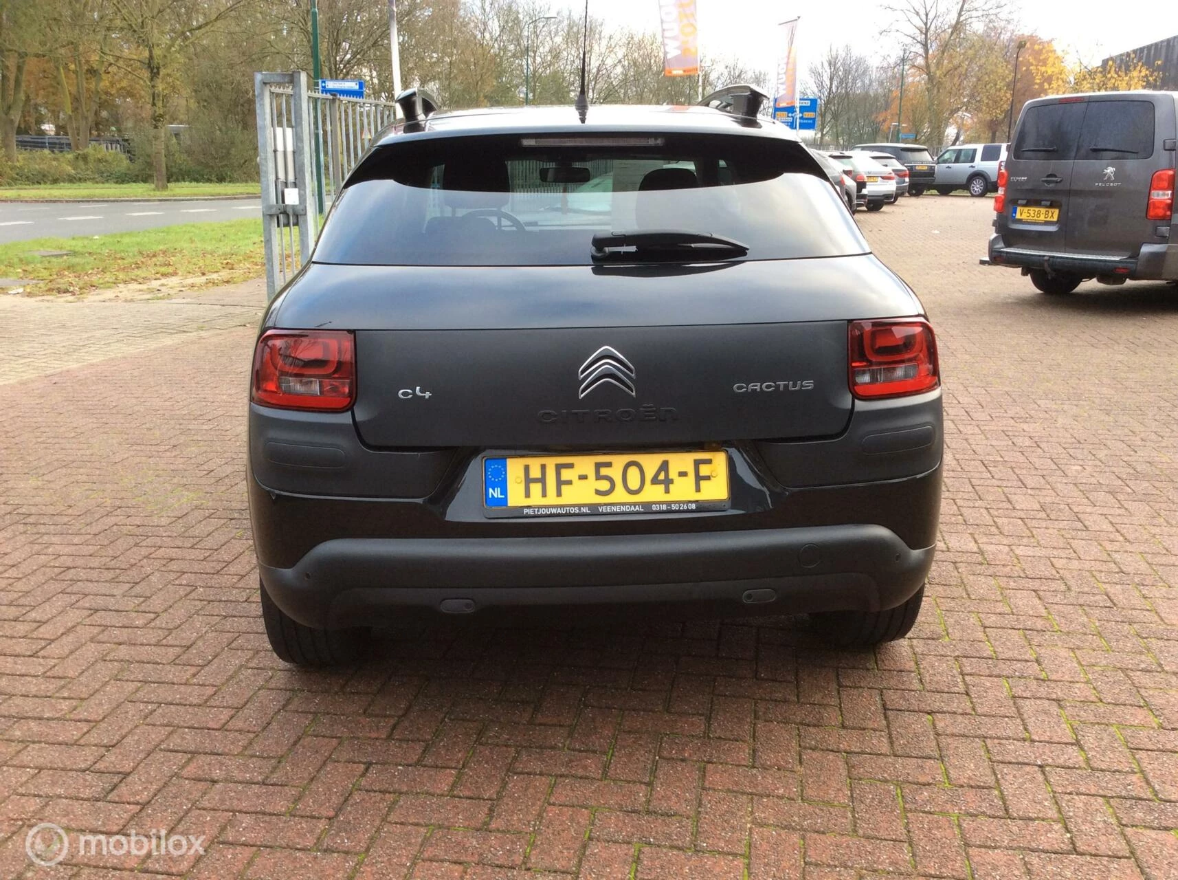 Hoofdafbeelding Citroën C4 Cactus