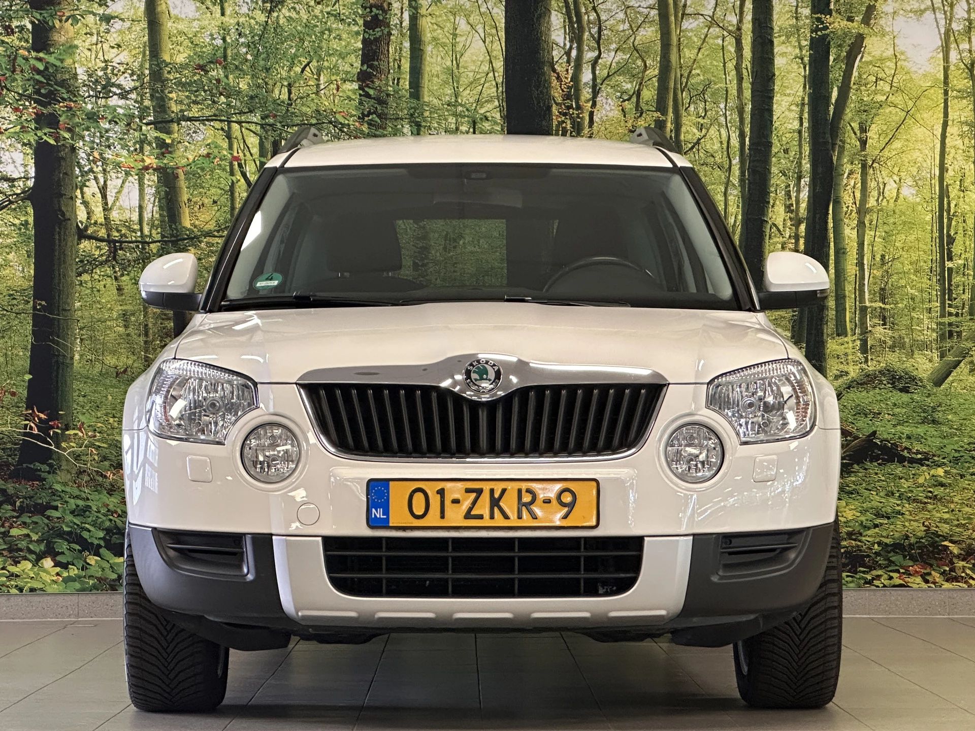 Hoofdafbeelding Škoda Yeti