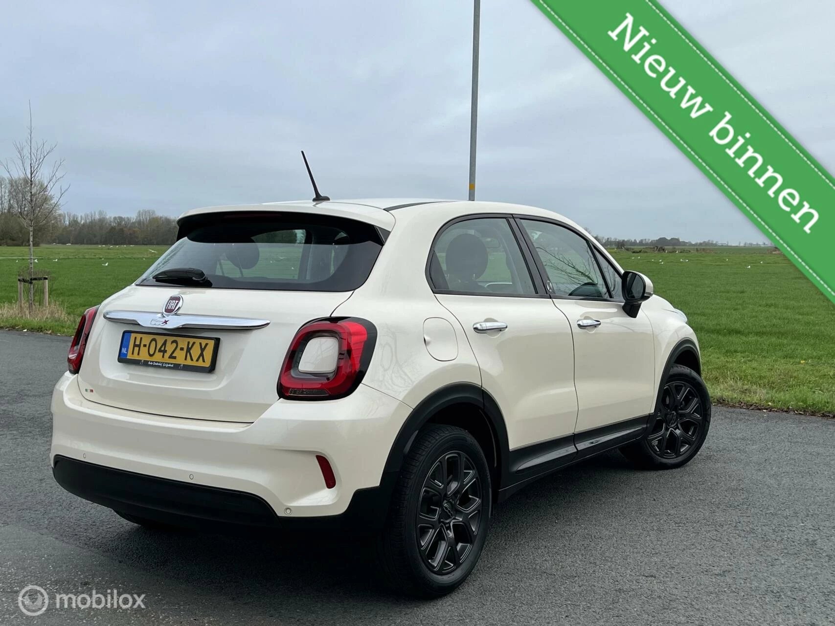 Hoofdafbeelding Fiat 500X