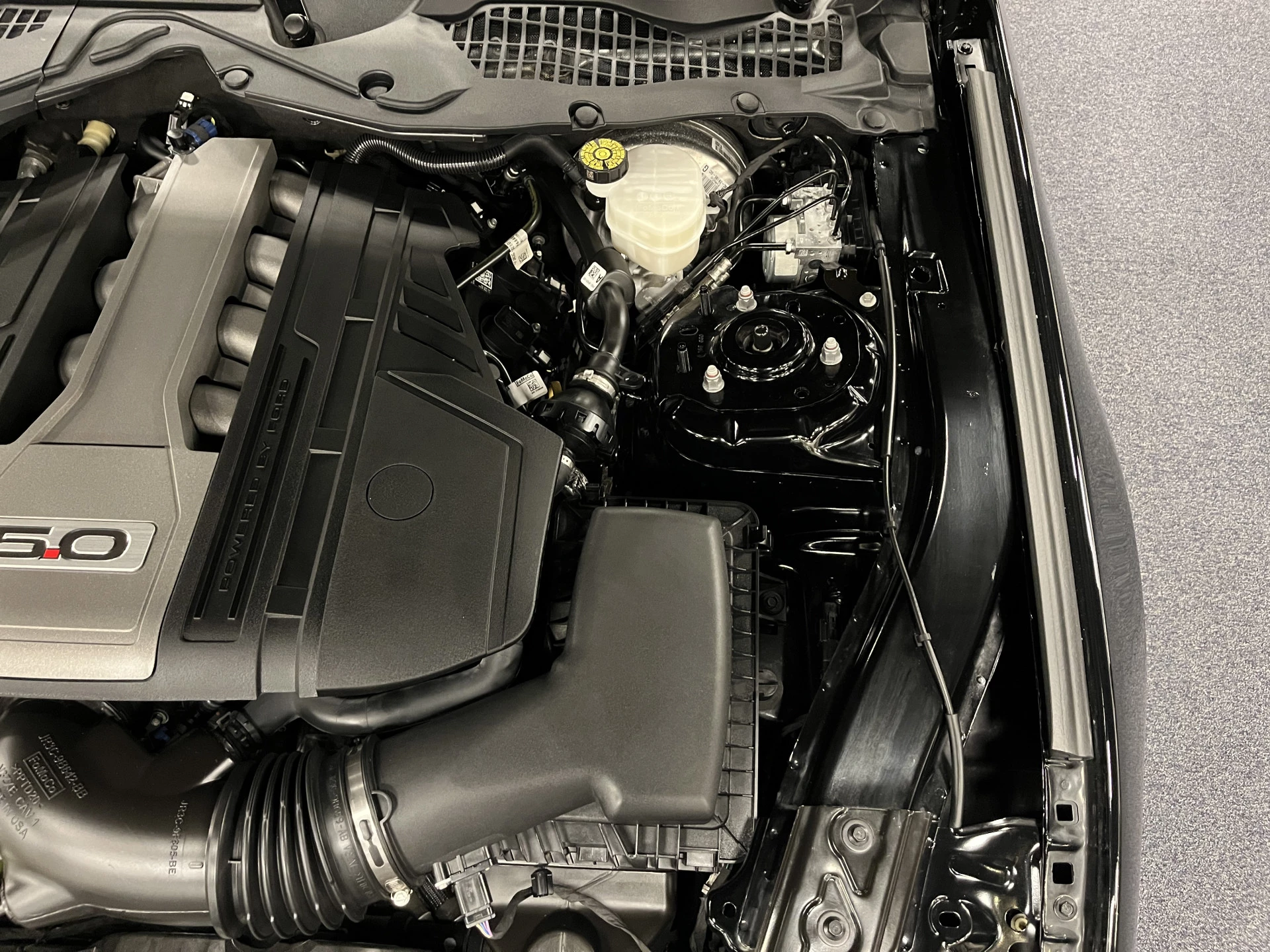 Hoofdafbeelding Ford Mustang