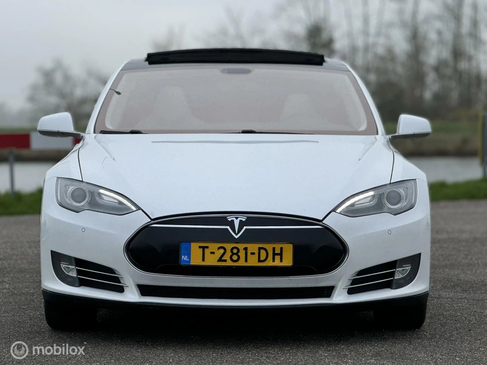 Hoofdafbeelding Tesla Model S