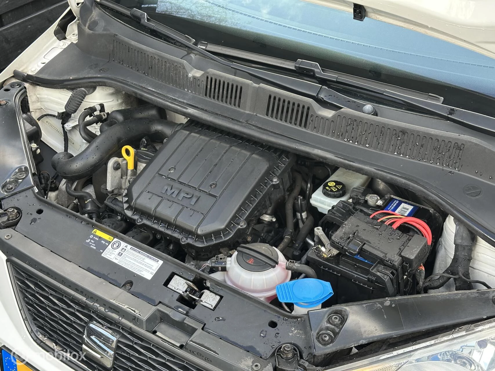 Hoofdafbeelding SEAT Mii