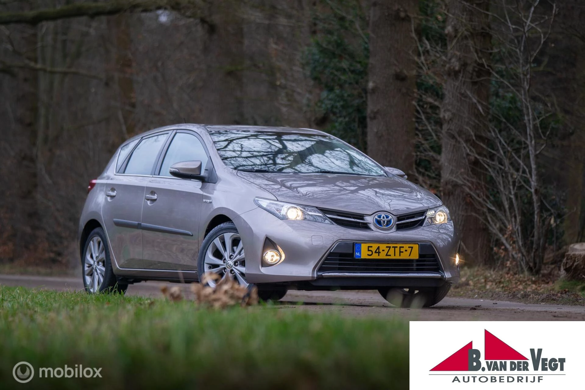Hoofdafbeelding Toyota Auris
